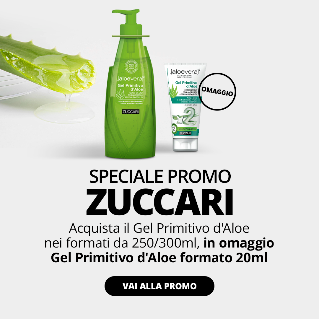 Zuccari 