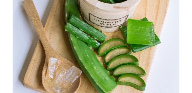 Aloe, un cicatrizzante naturale: guida alle proprietà di questa pianta