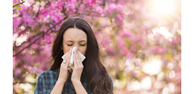 Sintomi, cause e rimedi delle allergie.