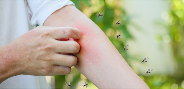 Come difendersi dalle zanzare in modo naturale
