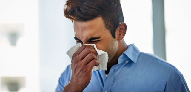 Echinacea, propoli e sambuco: i rimedi naturali per prepararsi all'inverno