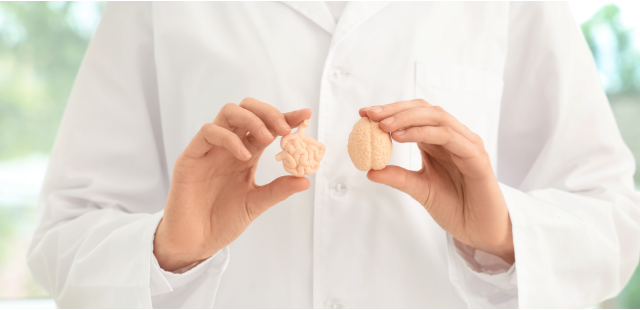 L'intestino è il nostro secondo cervello: perché?