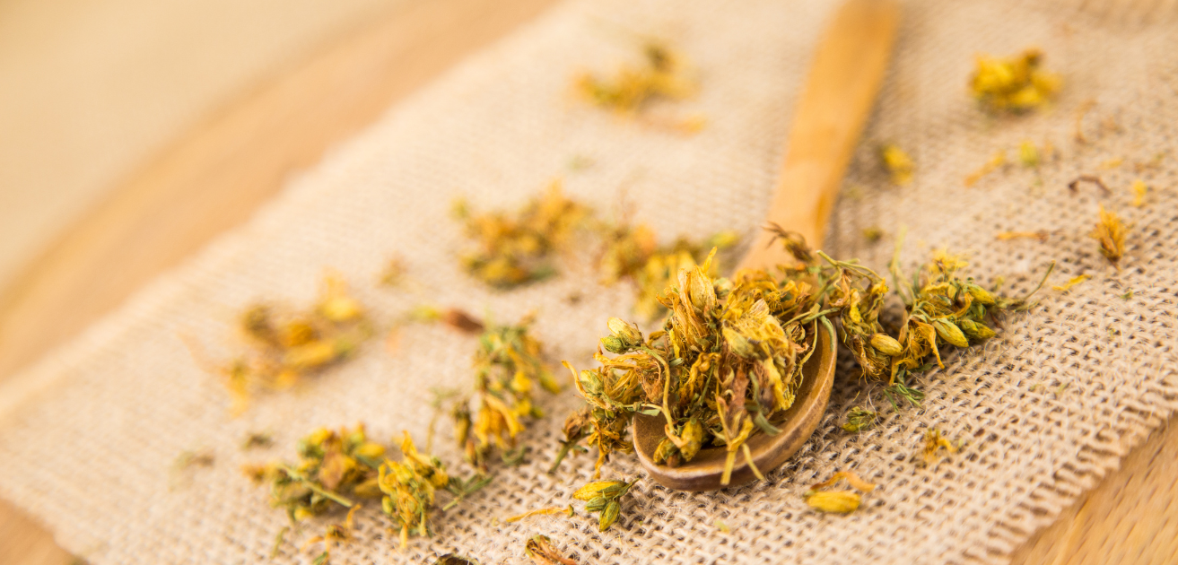 Iperico o Erba di San Giovanni: proprietà ed utilizzi