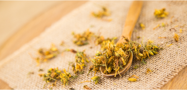 Iperico o Erba di San Giovanni: proprietà ed utilizzi