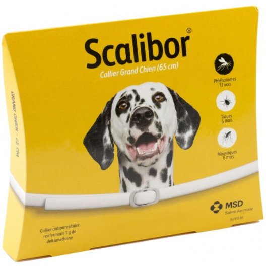 SCALIBOR PROTECTORBANDBI65CM