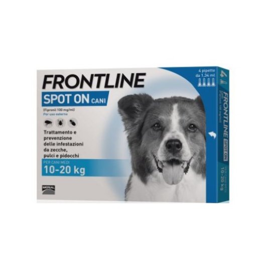 FRONTLINE SPOTON 4P 1,34ML 10-20