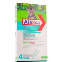 ATAXXA SPOT ON 4PIP 10-25KG