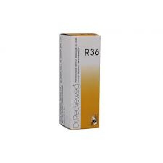 RECKEWEG R36 GOCCE 22ML