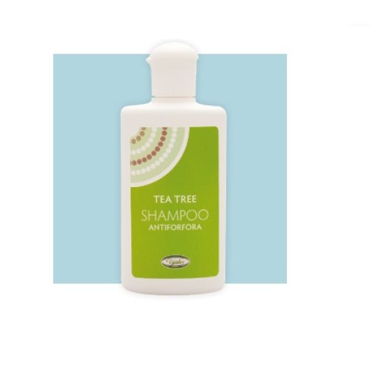 TEA TREE SHAMPOO ANTIFORF200ML