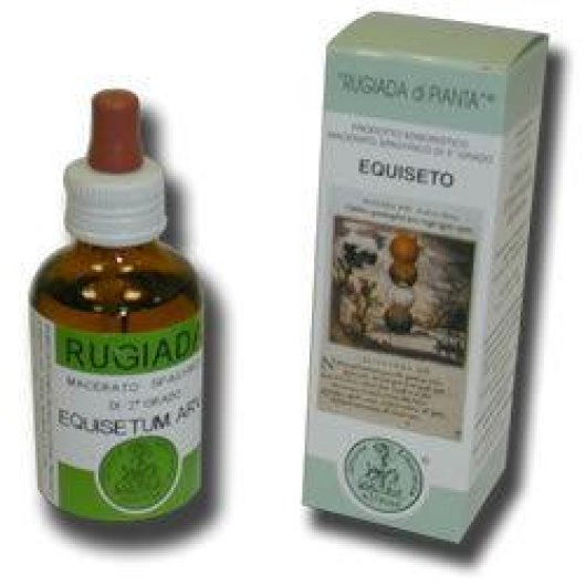 Rugiada Equiseto 50ml