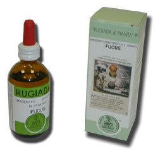 Rugiada Fucus 50ml