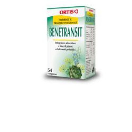 BENETRANSIT 54CPR