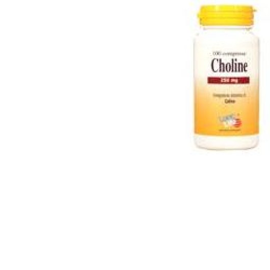 LONGLIFE CHOLINE 100TAV