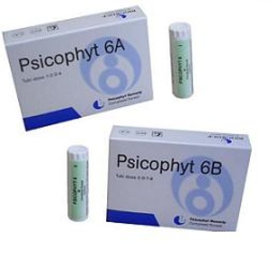 PSICOPHYT REMEDY 6A 4TUB 1,2G