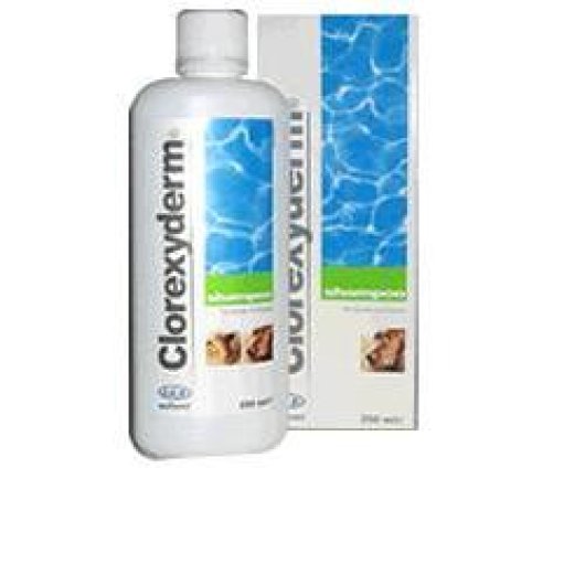 CLOREXYDERM SHAMPOO 250ML