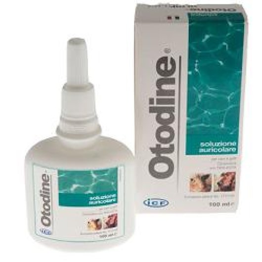 OTODINE DET LIQ 100ML