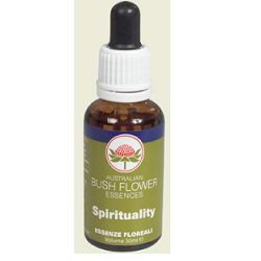 SPIRITUALITY ESS 30ML GTT