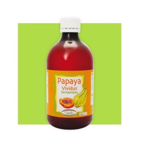 Papaya Fermentata 500ml