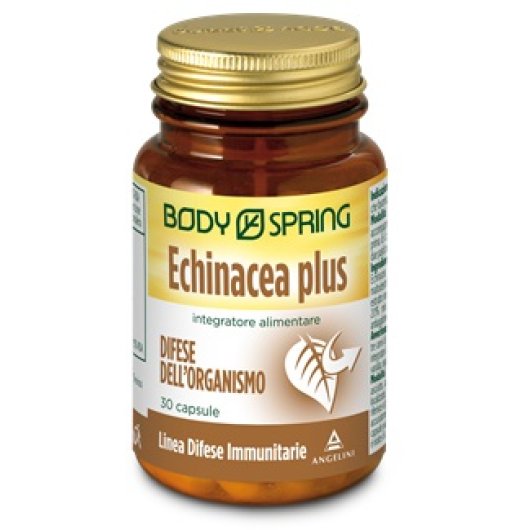 BODY SPRING ECHINACEA P 30CPS