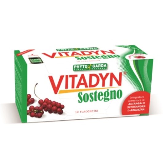 VITADYN SOSTEGNO 10FL 10ML