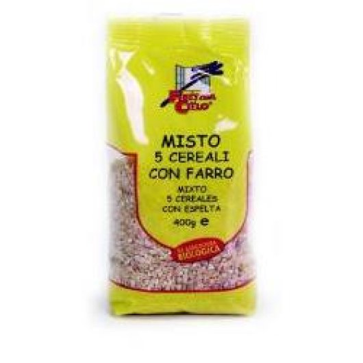 MIX ZUPPA 5 CEREALI FARRO BIO