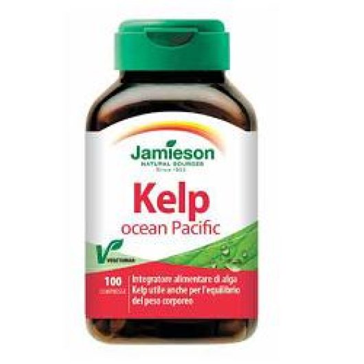 KELP OCEAN PACIFIC 100CPR