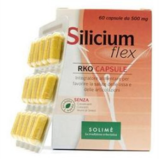 SILICIUM FLEX RKO 60CPS 500MG