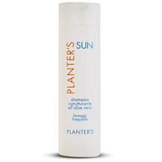 PLANTERS SH SUN RISTRUT ALOE