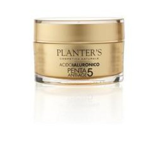 PLANTER'S PENTA 5 CREMA VISO