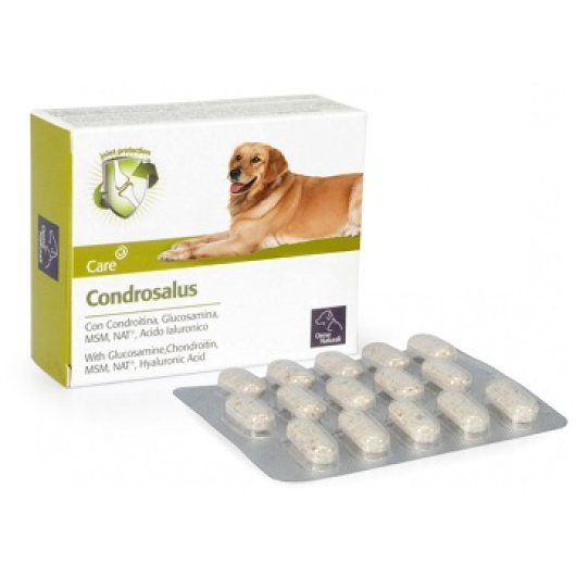 CONDROSALUS ORME NAT 60CPR