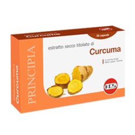 CURCUMA ESTRATTO SECCO 30CPS