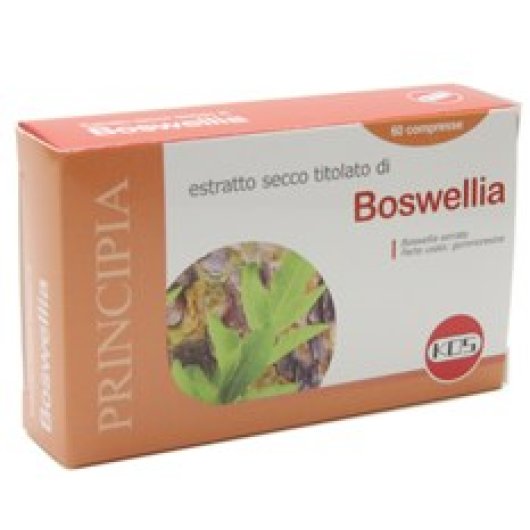 BOSWELLIA ESTRATTO SECCO 60CPR