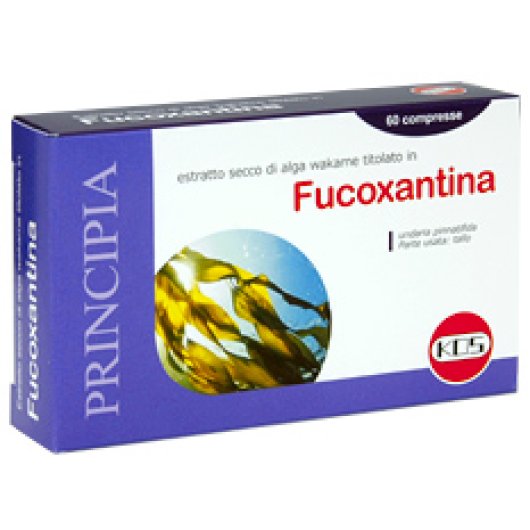 FUCOXANTINA 60CPR