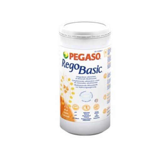 REGOBASIC POLVERE 250G