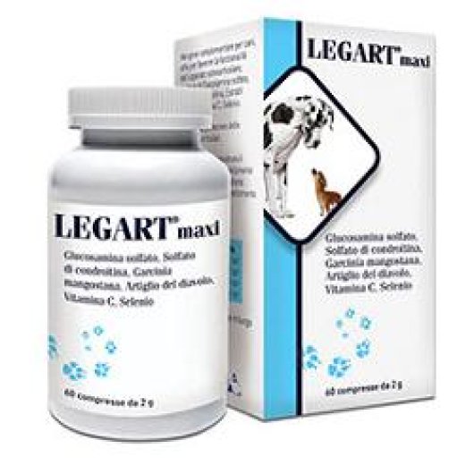 LEGART MAXI 60CPR