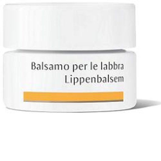 Dr Hauschka Bals Labbra 4,5g