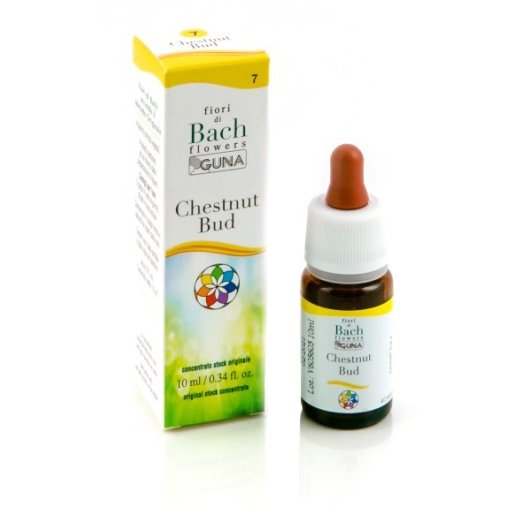 CHESTNUT BUD GTT 10ML