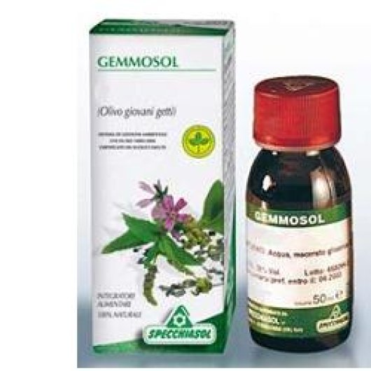 GEMMOSOL 3 IPPOCASTANO 50ML