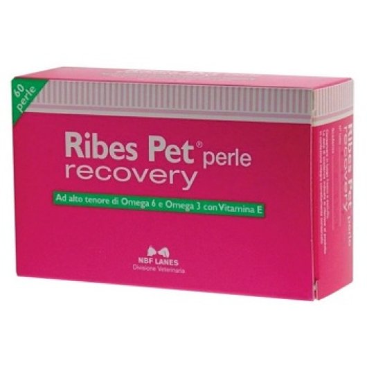 RIBES PET RECOVERY 60PRL