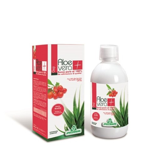 SUCCO ALOEVERA+ GOJI 1000ML