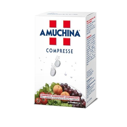 AMUCHINA COMPRESSE 1G 24PZ