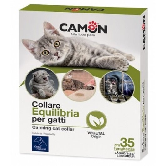 COLLARE AEQUILIBRIA GATTI 1PZ