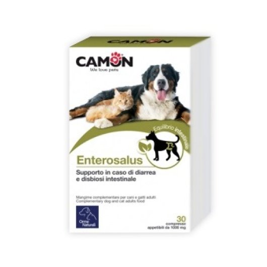 ENTEROSALUS 30CPR 1G