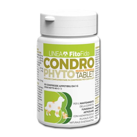 CONDROPHYTO 60CPR 1G