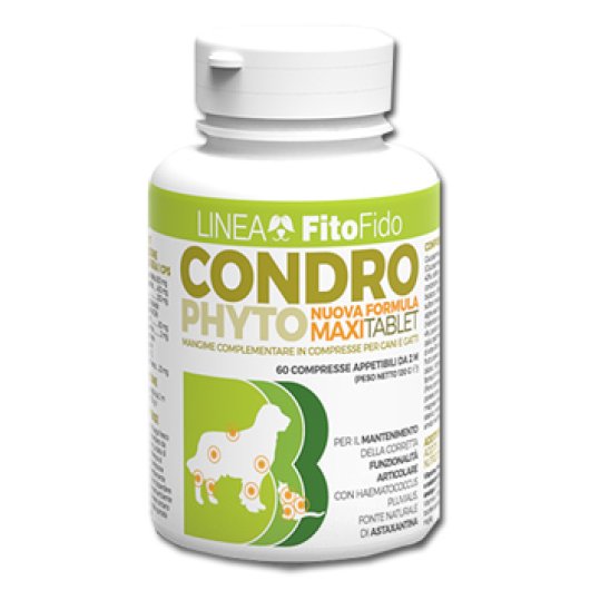 CONDROPHYTO 60CPR 2G