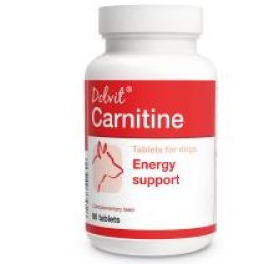 CARNITINA 90