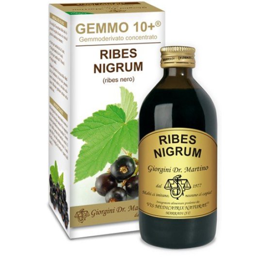 RIBES NE ANALCO GEMMO10+ 200ML