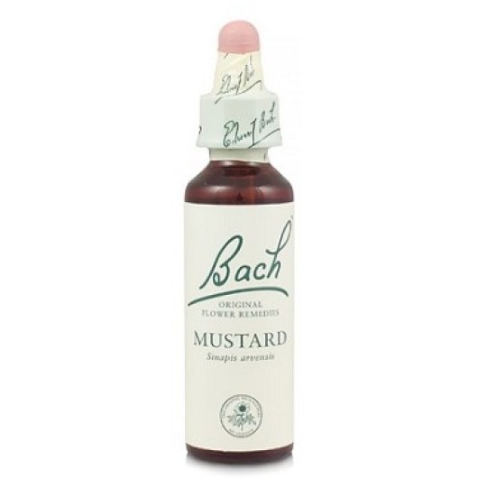 MUSTARD BACH ORIG 10ML