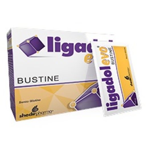 LIGADOL EVO 20BUSTINE