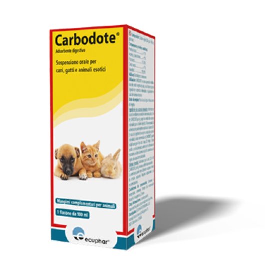 CARBODOTE 100ML